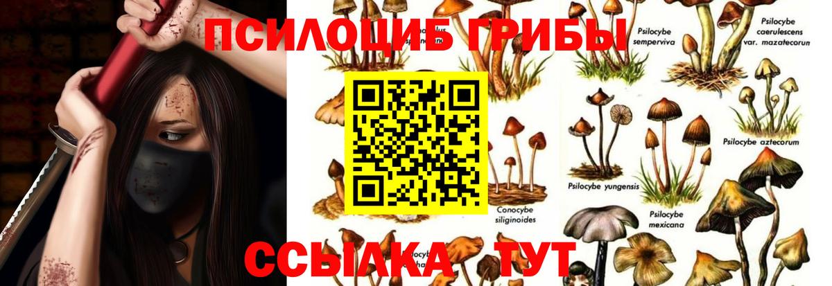 Псилоцибиновые грибы прущие грибы  купить   Галлюциногенные грибы мицелий  Кушва  Вход с VPN 